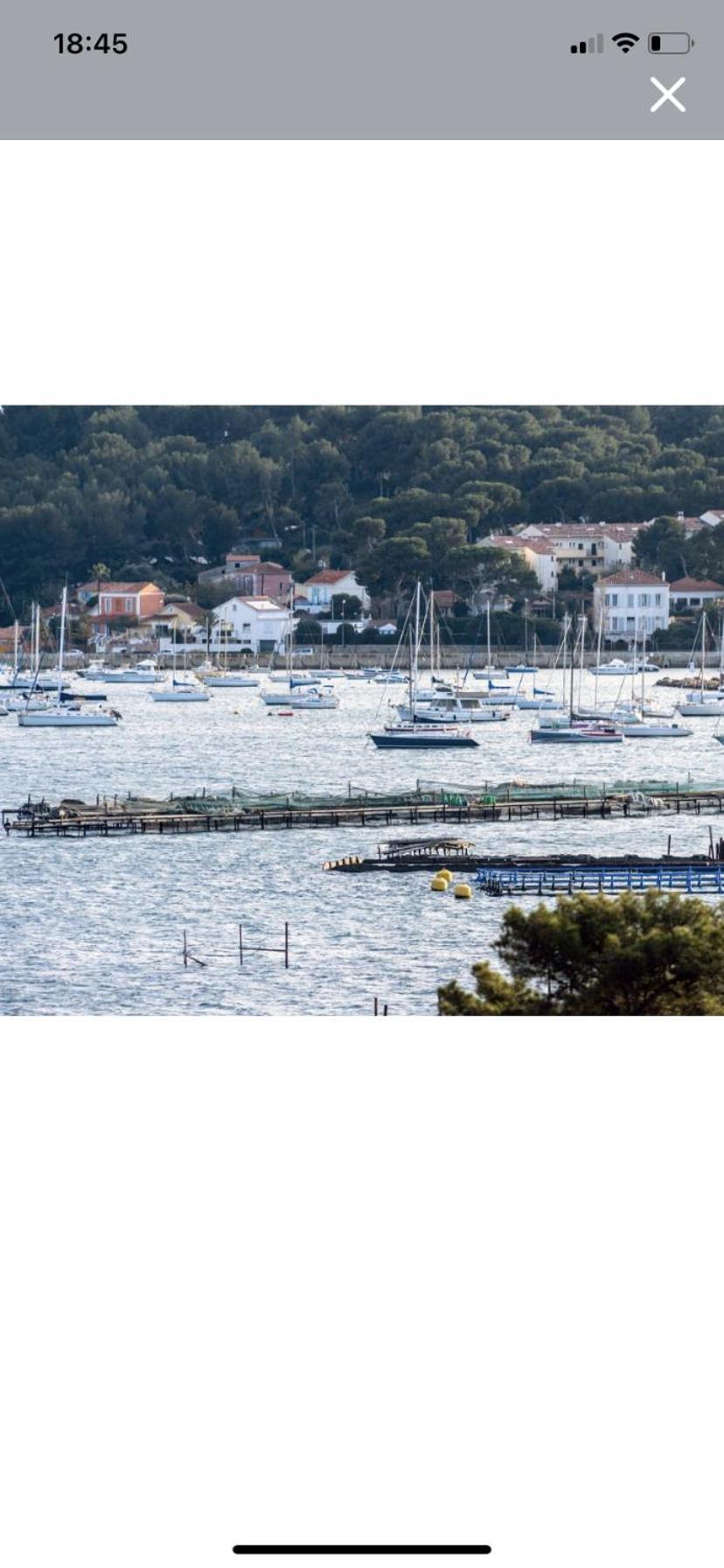Studio Avec Vue Mer Et Terrasse La Seyne-sur-Mer Bagian luar foto